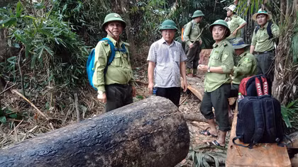 Lãnh đạo tỉnh Quảng Nam kiểm tra khu rừng bị phá ở huyện Nam Giang