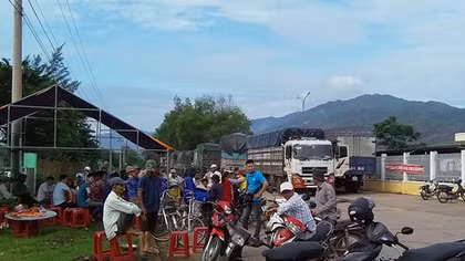 Nhà máy cồn Đại Tân xin lỗi về sự cố môi trường 