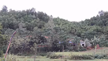 Sét đánh trúng giường ngủ, hai bố con tử vong