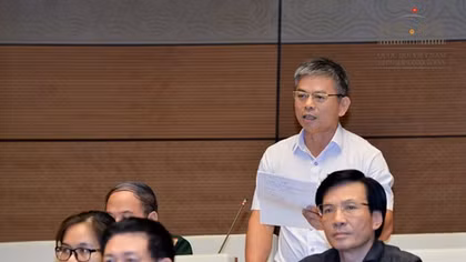 "Biển số đẹp sinh ra để quản lý chứ không phải tài sản để đấu giá"