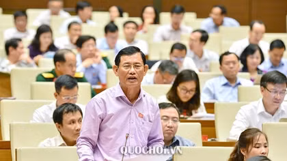 Đại biểu Quốc hội "truy" số dự án đầu tư thua lỗ, được kiến nghị điều tra, truy tố