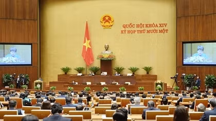 Quốc hội thảo luận ở hội trường về Luật Phòng, chống ma túy (sửa đổi)