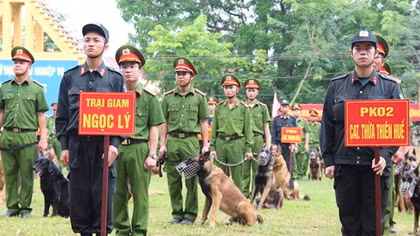 283 chó nghiệp vụ tranh tài khu vực phía Bắc