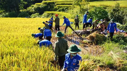 Tuổi trẻ Học viện ANND giúp bà con khắc phục hậu quả mưa lũ