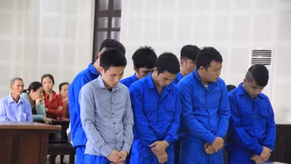 Nhóm thanh niên chuyên “cắn” dây cáp điện lãnh án tù