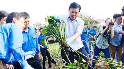 Cục Dự trữ nhà nước