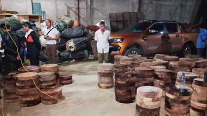 Tạm giữ hai đầu nậu vận chuyển lâm sản trái phép và tàng trữ ma túy