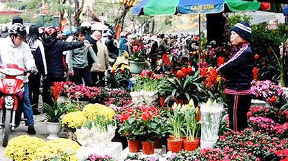 Hà Nội tổ chức 60 điểm chợ hoa Xuân