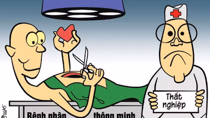 Phỏng vấn một con cá heo
