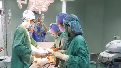 Can ngăn trâu húc nhau, một người tử vong