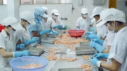 Dự thảo Bộ luật Lao động sửa đổi, bổ sung: Có đề xuất nên linh hoạt khung tuổi nghỉ hưu