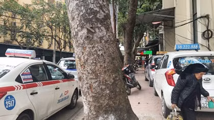 Hà Nội "khát" điểm đỗ xe