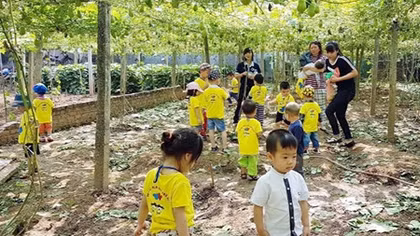  Đất sạch - cây đời