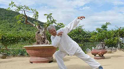 Còn đây mây trắng lưng đèo