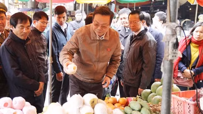 Chưa thể kiểm soát thực phẩm bẩn qua biên giới