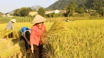  Những người đàn bà ngoại ô