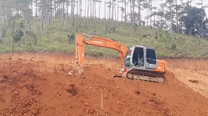 Hơn 1.100ha rừng “biến mất” sau khi giao đất cho DN