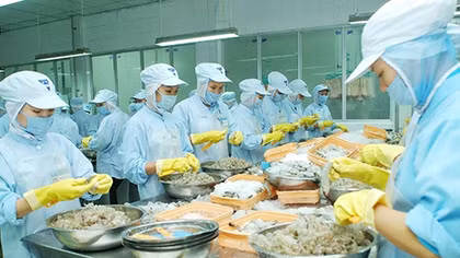 Xử lý hình sự doanh nghiệp trốn đóng BHXH để đảm bảo công bằng