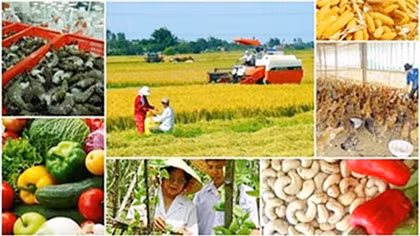 Khởi nghiệp trong lĩnh vực nông nghiệp cần vốn, công nghệ và nhân lực