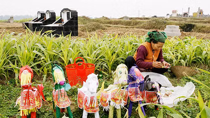 Tạ ơn cánh đồng làng