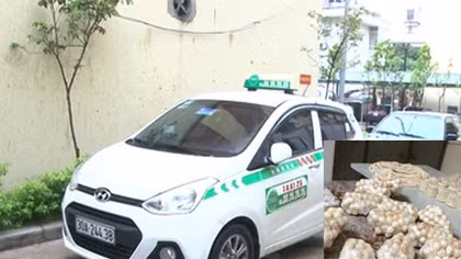 Các sản phẩm chế tác từ ngà voi trên đường đi tiêu thụ thì bị “tóm”