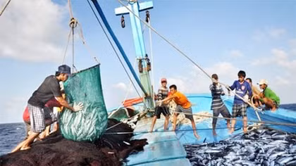 Tăng mức phạt đối với hành vi vi phạm trong hoạt động thủy sản