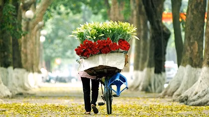 Những con đường sinh sôi