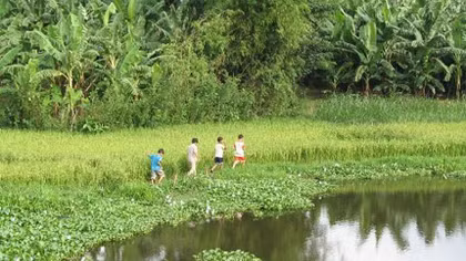 Thuận dòng