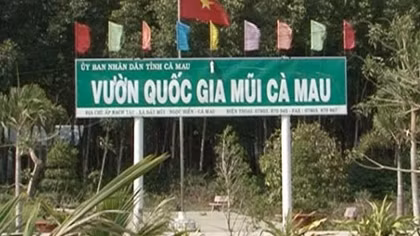 Vườn Quốc gia Mũi Cà Mau lập quỹ trái phép hàng tỉ đồng