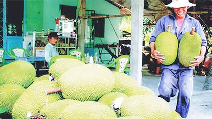 Tránh tình trạng mạnh ai nấy làm