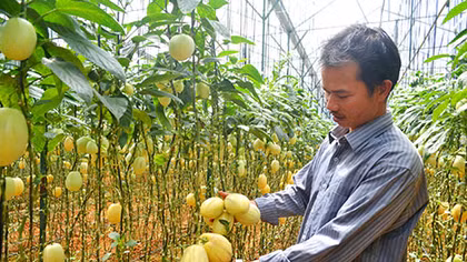 Trang trại nông nghiệp công nghệ cao triệu đô giữa rừng