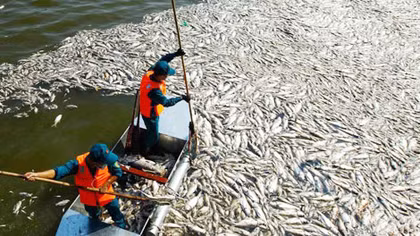 Chúng ta đang đầu độc chính bản thân mình