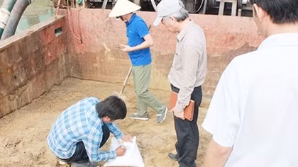 Xử lý thành công cát biển thành cát xây dựng