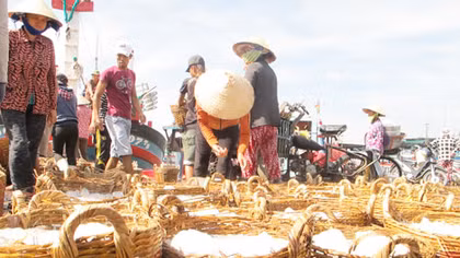 Ghi chép ở Cà Ná