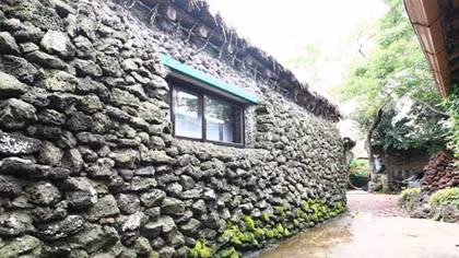 Những tuyệt chiêu nuôi “gà đẻ trứng vàng” ở xứ sở kim chi