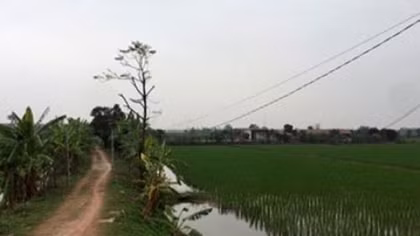 Thuê trang trại tổ chức đá gà ăn tiền