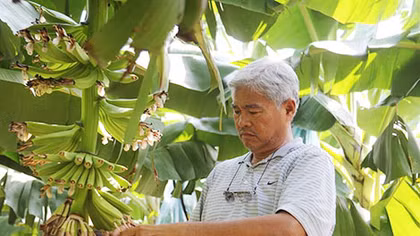  Nông dân nghìn tỷ