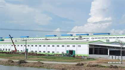 Xem xét cấp giấy chứng nhận cho Nhà máy Giấy Lee&Man hoạt động chính thức