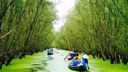 Sao Mai Trà Sư xúc tiến du lịch sinh thái