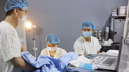 Lửa hạnh phúc thắp lại trong nhiều ngôi nhà hiếm muộn