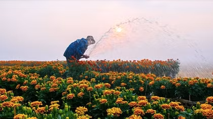 Trao giải Hội thi Nhiếp ảnh “sa đéc vào xuân” năm 2018