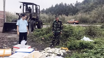 Vận chuyển một lượng lớn cá chim trắng và cá đối giống nhập lậu