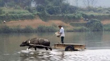 Người dân Bình Quang ước mơ một cây cầu