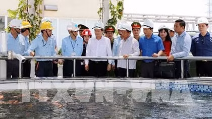 Kiểm tra hoạt động khai thác, kinh doanh hải sản tại Hà Tĩnh