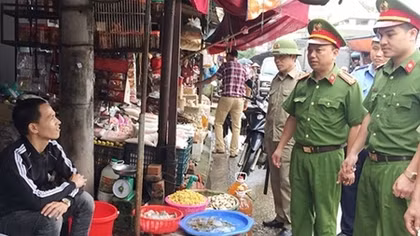 Công an Lạng Sơn phối hợp ngăn chặn tôm hùm đất thẩm lậu vào nội địa