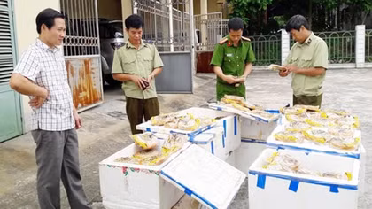 Hơn nửa tấn bánh trung thu vô chủ ở gần biên giới