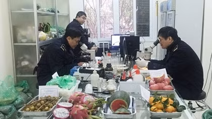 Kiểm soát chặt nông sản nhập khẩu