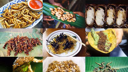 Thực phẩm sạch “chống đói” của tương lai