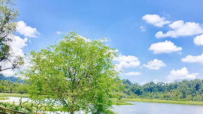  Ở rừng Nam Cát Tiên
