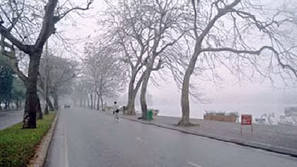 Trong cơn gió rét